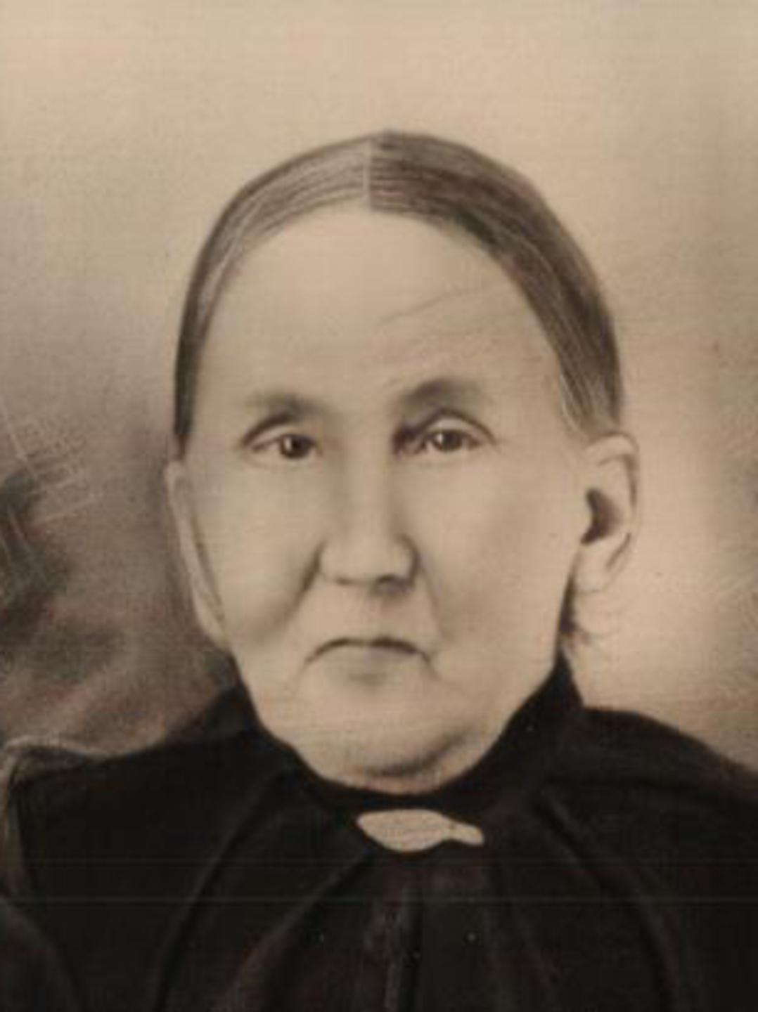 Agnes Wilson (1837 - 1919) Profile